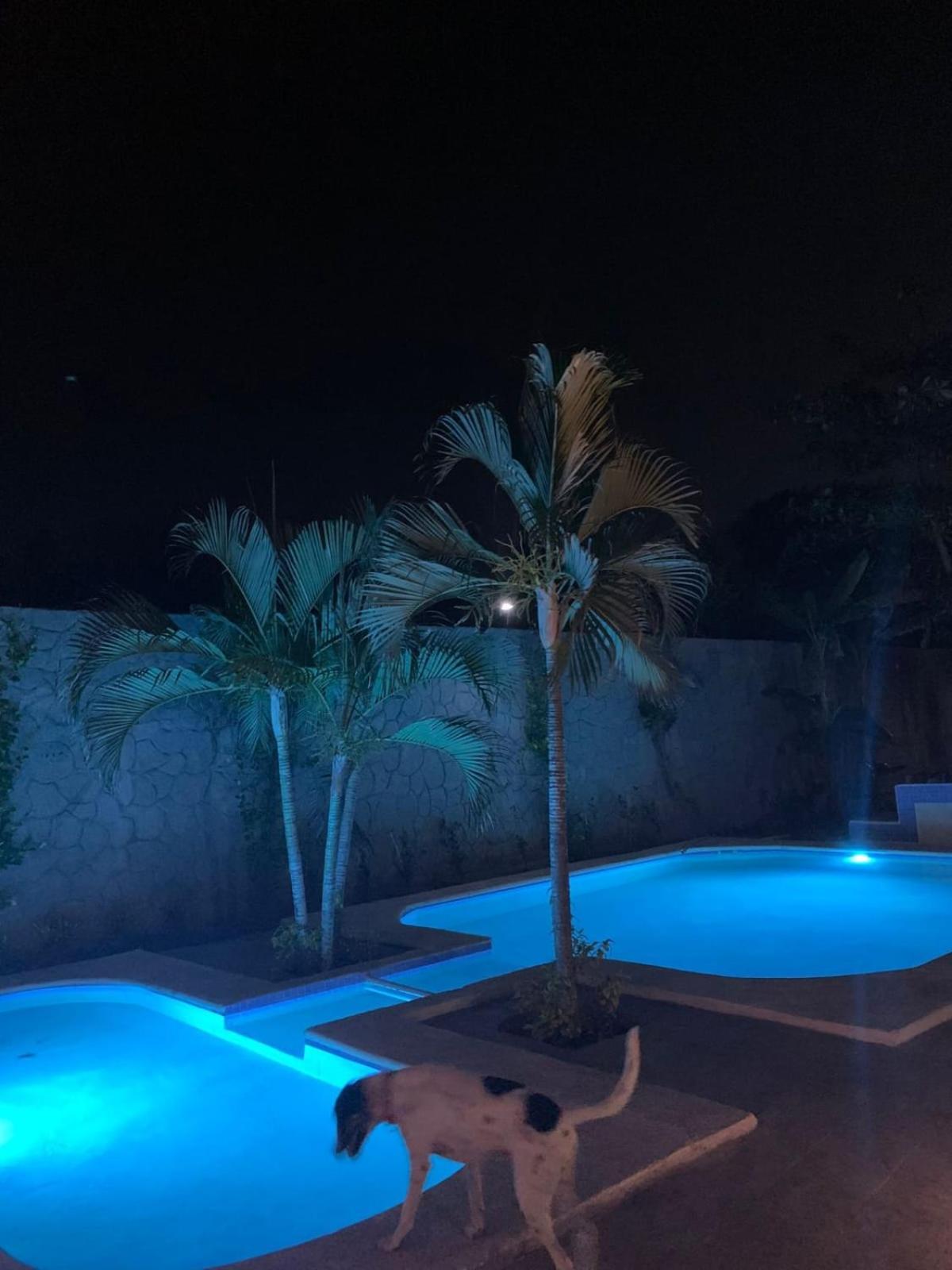 La Pucca Hotel Boutique Resort La Peñita de Jaltemba Esterno foto